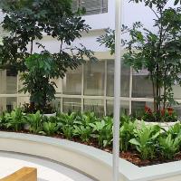 Best Indoor Planting in Melbourne image 3